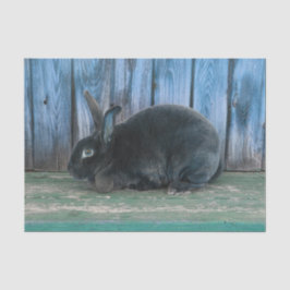 Papel De Seda Conejo Bunny Rústico Verde Azul Teal Campo
