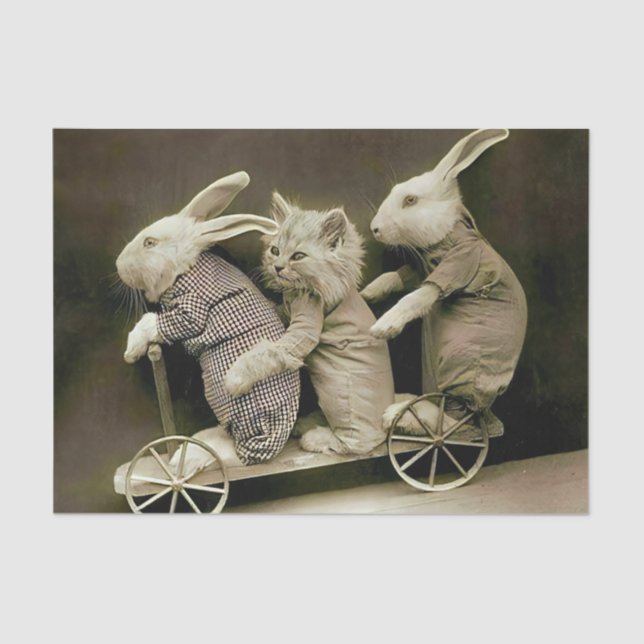 Papel De Seda Conejos y gato de cosecha de juguetes (Anverso)