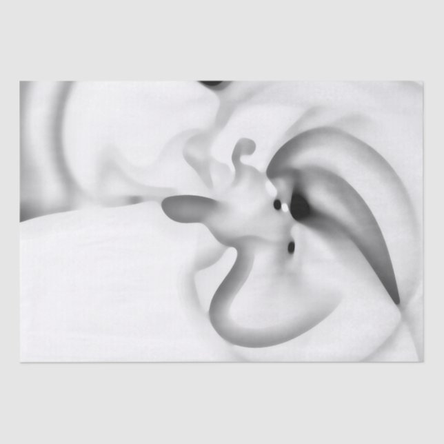 Papel De Seda Congelado: Gris abstracto, blanco y negro (Anverso)