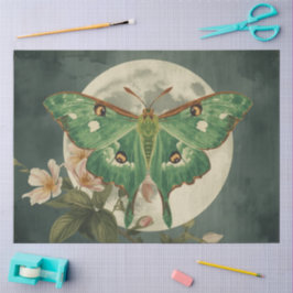 Papel De Seda Conservatorio de la polilla Luna