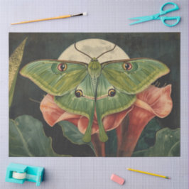 Papel De Seda Conservatorio de polilla LunaBotánicos