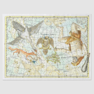 Papel De Seda Constelación de Hércules en el mapa del cielo vint