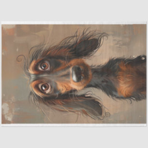 Papel De Seda Cooper la encantadora página del perro de Dachshun