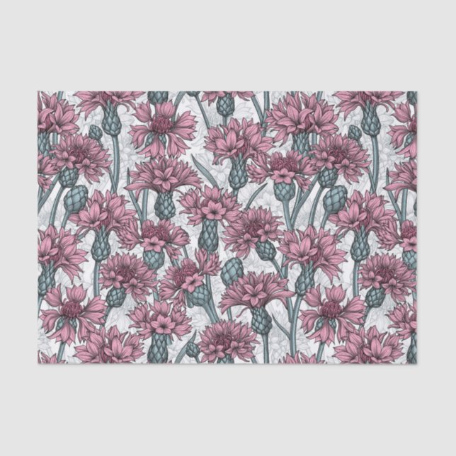 Papel De Seda Cornflores rosas, flores silvestres en blanco (Anverso)