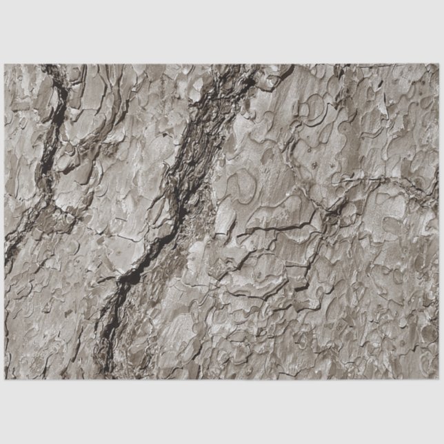 Papel De Seda Correa de árbol A (Anverso)