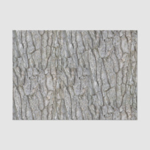 Papel De Seda Corteza de árbol gris rústica