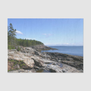 Papel De Seda Costa de la isla Bar en el Parque Nacional Acadia