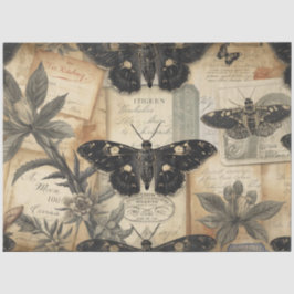Papel De Seda Cottagecore Moon Moth Botanicals Apothecary