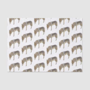 Papel De Seda Coyote