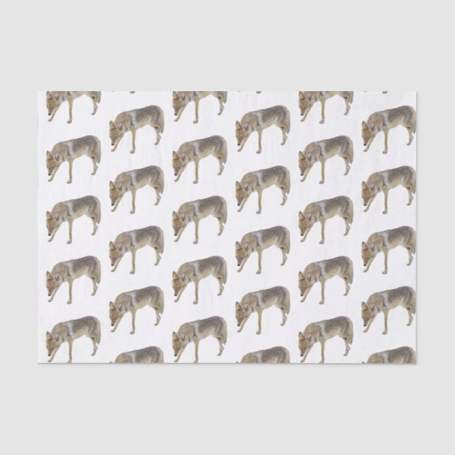 Papel De Seda Coyote (Anverso)