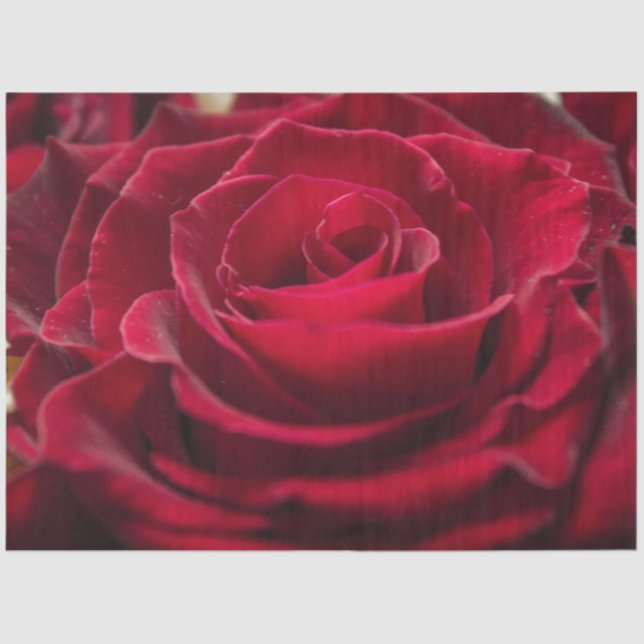 Papel De Seda Creado para usted elegante personalización de salu (Anverso)