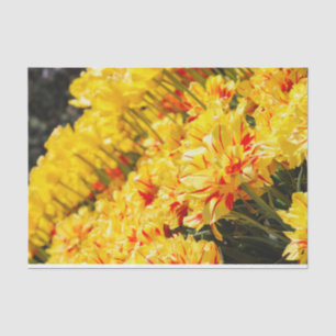 Papel De Seda Crecer en oro