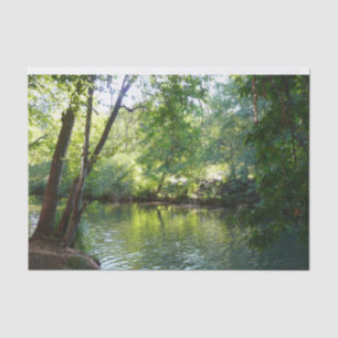 Papel De Seda Creek de roble I en Sedona Arizona