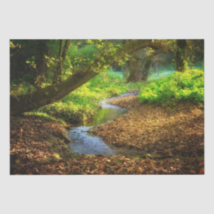 Papel De Seda Creek forestal Hermoso paisaje natural Foto