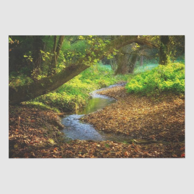 Papel De Seda Creek forestal Hermoso paisaje natural Foto (Anverso)