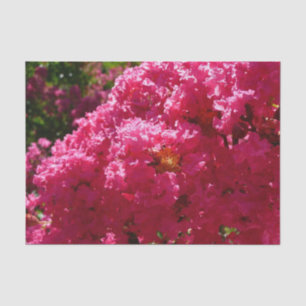 Papel De Seda Crepe Myrtle Tree Magenta Floral