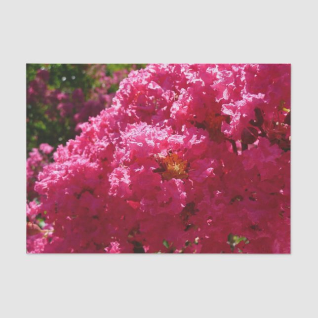 Papel De Seda Crepe Myrtle Tree Magenta Floral (Anverso)