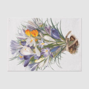 Papel De Seda Crocus Spring Flower Botanical Floral Art