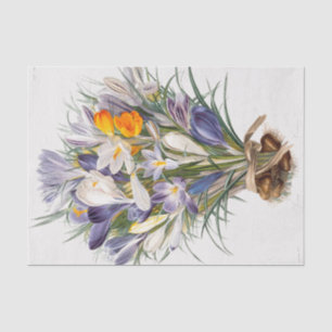 Papel De Seda Crocus Spring Flower Floral Art