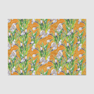 Papel De Seda Crocuses Blancos Jardín Flor Flor Floral Botánica