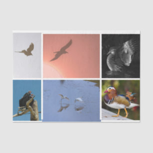 Papel De Seda Crow Duck Condor Egret Mixed Media