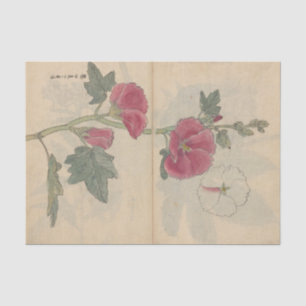 Papel De Seda Cuaderno de bocetos Pl. 096 de Ariyoshi Kondo
