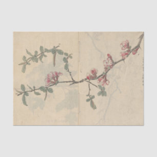 Papel De Seda Cuaderno de bocetos Pl. 096 de Ariyoshi Kondo