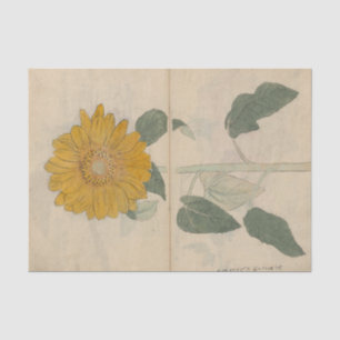 Papel De Seda Cuaderno de bocetos Pl. 103 de Ariyoshi Kondo