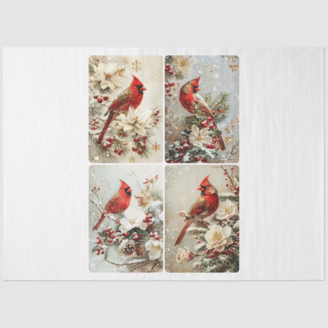 Papel De Seda Cuatro cardenales cuadrados (Anverso)
