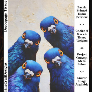 Papel De Seda Cuatro Palomas Azules Divertidas e Inquisitivas Re
