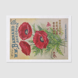 Papel De Seda Cubiertas para el catálogo de semillas 1913 (no AI
