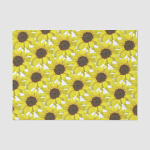 Papel De Seda Cubierto de girasoles 