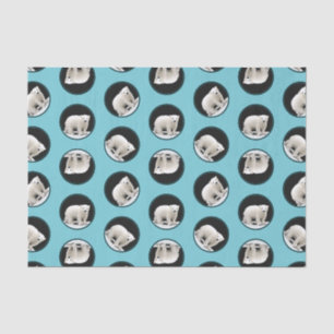 Papel De Seda Cubo Polar De Oso Pintando Arte Original De Vida S