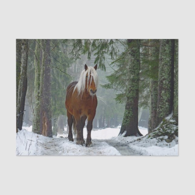 Papel De Seda Cuenca de nieve de bosque de caballos (Anverso)