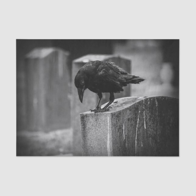Papel De Seda Cuervo del cementerio de Falln (Anverso)
