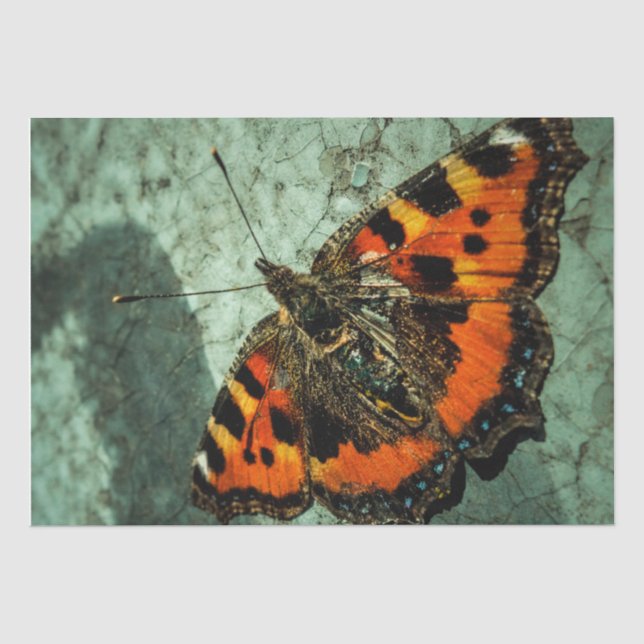 Papel De Seda Cumpleaños de la mariposa (Anverso)