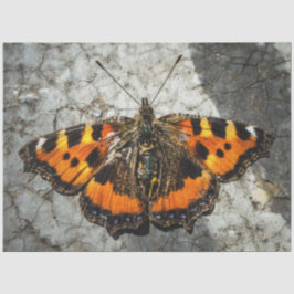 Papel De Seda Cumpleaños de la mariposa