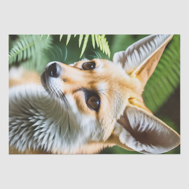 Papel De Seda Cunning Fennec Fox, (Anverso)