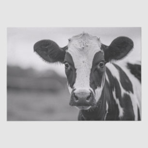 Papel De Seda Curioso Holstein Vaca Decoración en blanco y negro