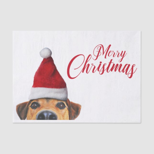Papel De Seda Curioso perro gracioso con Santa Hat (Anverso)