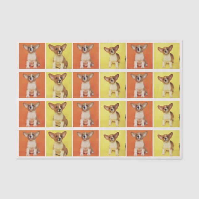 Papel De Seda Custom 24 Photo Collage Your Pet Dog Picture On (Anverso)