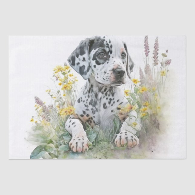 Papel De Seda Cuta acuarela Floral Dalmatia Perro Cachorro (Anverso)