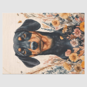 Papel De Seda Cute Dachshund con flores silvestres