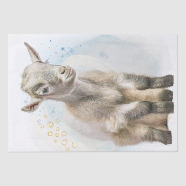 Papel De Seda Cute Kid Goat (Anverso)