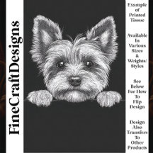 Cute negro y blanco Yorkshire Terrier T5 Descarga