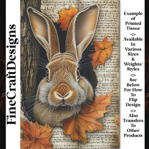 Papel De Seda Cute Otoño Asomando Conejo Efímero BK7 Decoupage