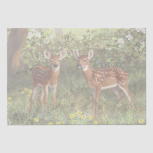 Papel De Seda Cute Whitetail Deer Twin Fawns