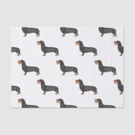 Papel De Seda Cute Wire Haired Dachshund Sausage Dog