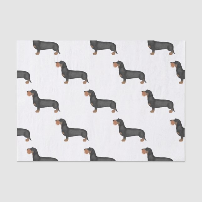 Papel De Seda Cute Wire Haired Dachshund Sausage Dog (Anverso)