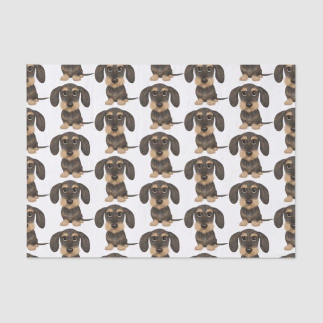 Papel De Seda Dachshund de cabello alambrado| Perro Cute Teckel  (Anverso)